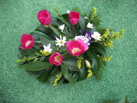 Red tulips on a green backgroundのeditorial素材