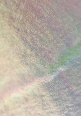 Body of a seashell close-upの写真素材