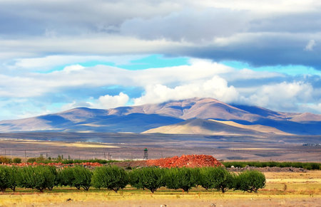 Field with agricultural crops and fruit trees in the foothills