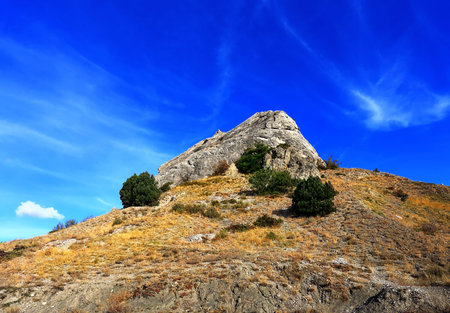 Peaked rock on top of a hill overgrown with bushes