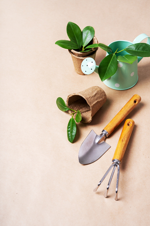 Gardening tools, paper pots, watering can on craft paper with copy space. concept of plantingの写真素材