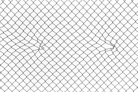 Chainlink fence on white backgroundの写真素材