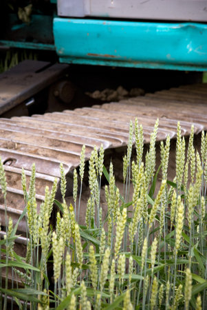 Close up of bulldozer in a wheat fieldの写真素材