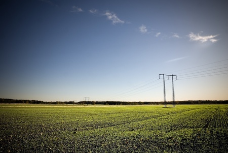 Electricity pylon on a green field in sunsetの写真素材