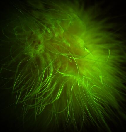 Green abstract baclgroundの写真素材