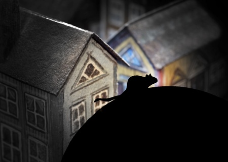 Urban rat looking out over the roofs in a small townの写真素材