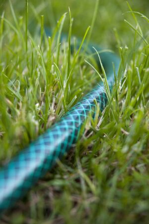 Close up of garden hose in grassの写真素材