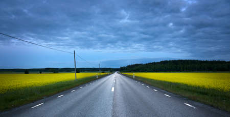 Empty asphalt road at night, crossing a rape fieldの写真素材