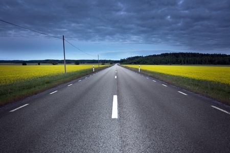 Empty asphalt road at night, crossing a rape fieldの写真素材