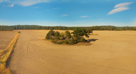 Plowed field seen from aboveの写真素材