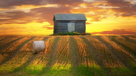 Rural landscape in evening with hay bale in focus in foreground and abandoned shed in backgroundの写真素材