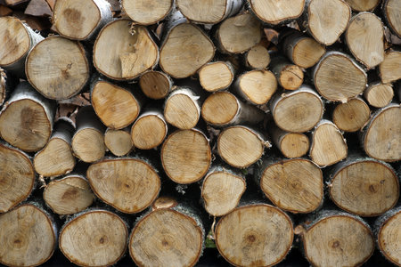 Big pile of firewood of birch trees