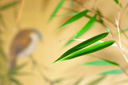 Fresh bamboo with traditional Chinese painting with bird in backfroundの写真素材