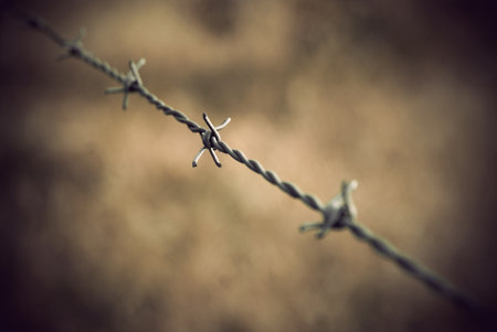 Close up of barbed wire with vintage lookの写真素材