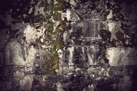 Background of wall with natural stones and fungusの写真素材