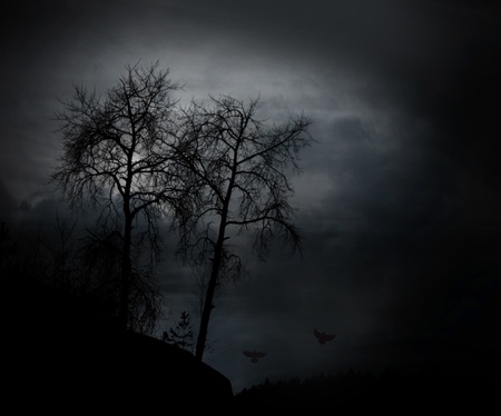 silhouette of bare trees at sunset with spooky feelingの写真素材