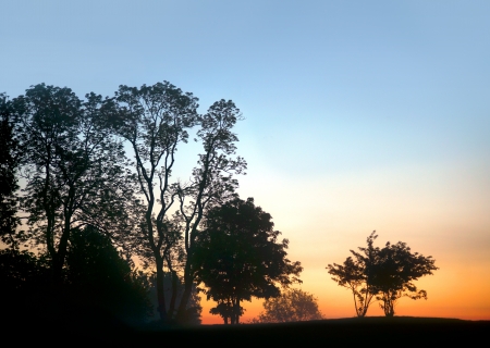 Silhouettes of bare trees on blue and orange skyの写真素材