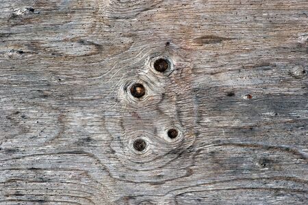 Background of old weathered textured knotted woodの写真素材