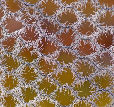 Big ice crystals on metal wire fenceの写真素材