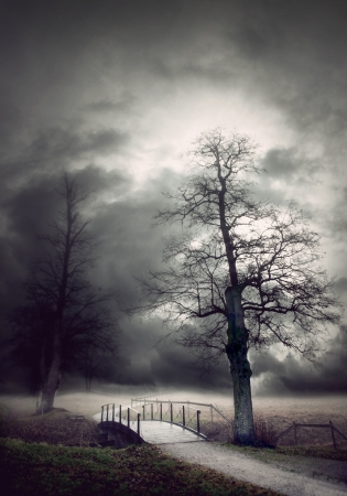 Gloomy autumn landscape with bare tree by a small bridgeの写真素材