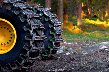 wheels of heavy vehicle used for deforestationの写真素材