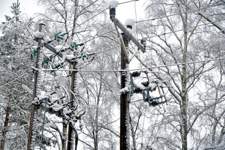 Electricity pole covered in snow and bare birch trees in background