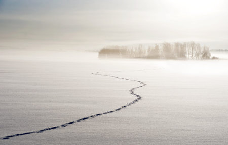 Footsteps on lake in winter, with small islands and trees in background