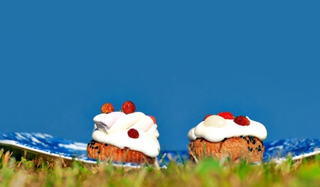 Two fresh muffins with cream and wild strawberries on blue skyの写真素材