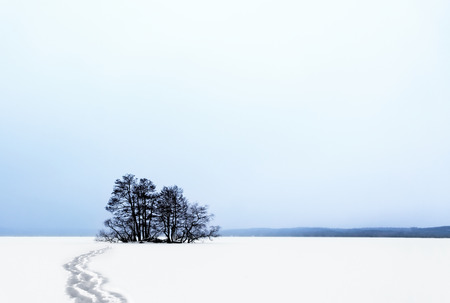 Small island with bare trees in frozen lakeの写真素材