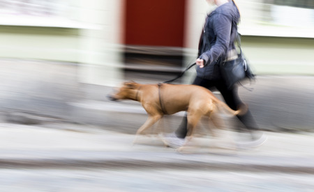 Young woman with big dog on leash in blurred motionの写真素材