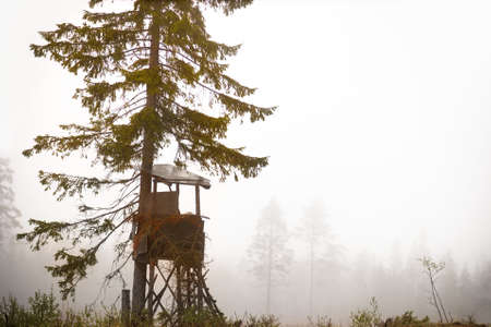 Shelter built for hunting moose in autumn in clearing of scandinavian forest on foggy dayの写真素材