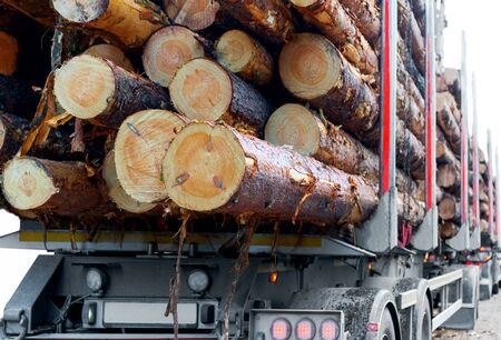 Close up of timber on trailer of timber truckの写真素材
