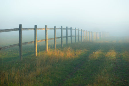wooden fence in meadow on sunny foggy day