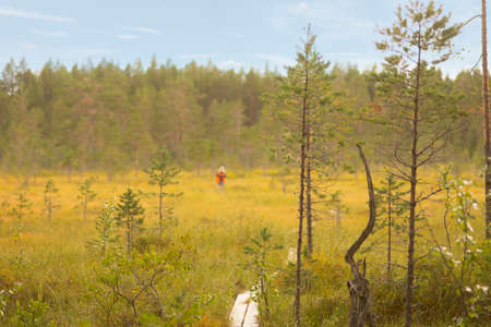 Scandinavian marshland, with person in red jacket in backgroundの写真素材