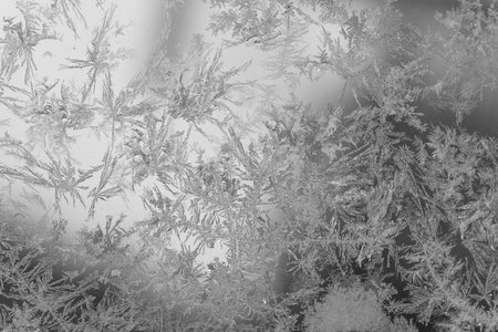 Monochrome Ice crystals foming pattern on glass