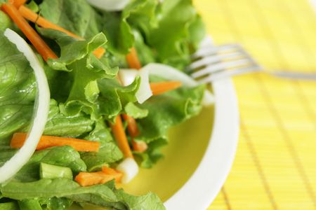 chief saladの写真素材