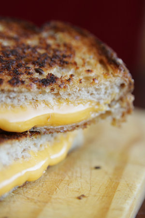 Close up of a melted cheese in a grilled cheese sandwichの写真素材