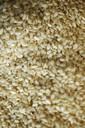 Background full of sesame seedsの写真素材