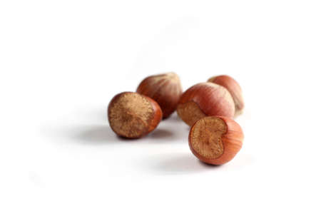 Five fresh halzenuts on white backgroundの写真素材