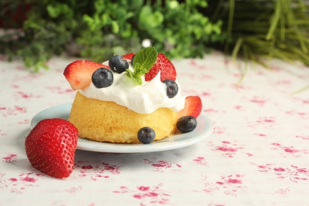 Little cake with whipped cream and fresh fruitsの写真素材