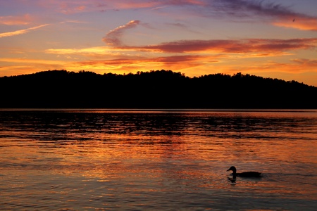 Beautiful orange after sunset with a duck  on calm lake in Quebec, Canadaの写真素材