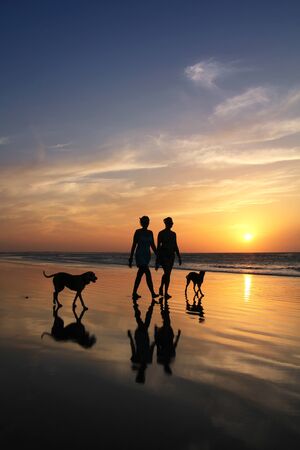 People silhouettes walking on a beach with dogs at sunset の写真素材
