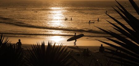 guy with surfboard walking on a beach at sunset の写真素材