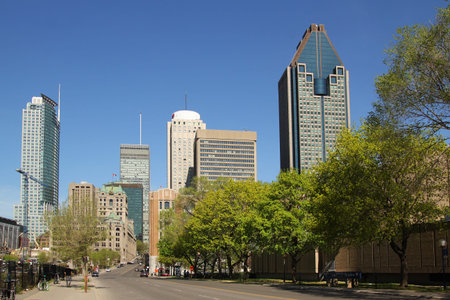 Montreal downtown with trees by a nice summer dayのeditorial素材