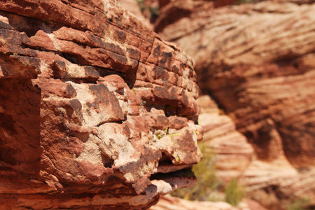 Red rocks at red rock canyon in Nevada, united statesの写真素材