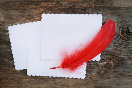Red feather on a blank white paper. Wooden background.の写真素材