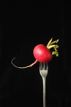 Vegetables soupの写真素材