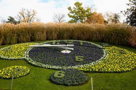 Huge clock made from yellow and purple flowers in Geneva, Switzerlandの写真素材