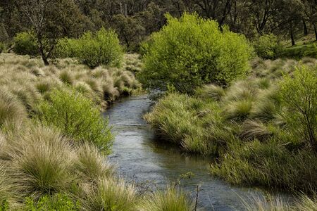 Little river near Victoria falls at Great alpine road, Australiaの写真素材