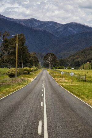 Straight road to the great alpine road in Victoria, Australiaの写真素材